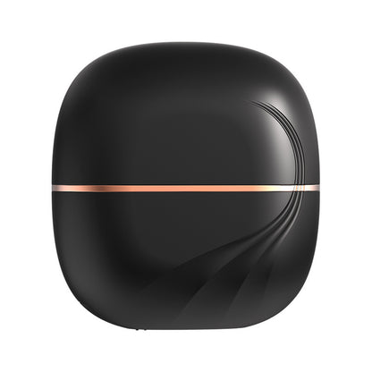 Portable Hair Straightener